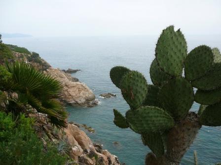  2009 315_0.jpg