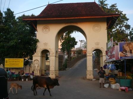  923.jpg