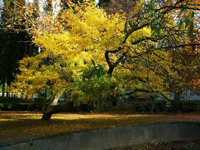 0001_18.jpg