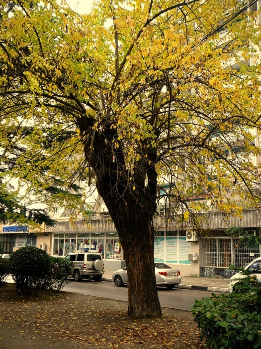 0003_16.jpg