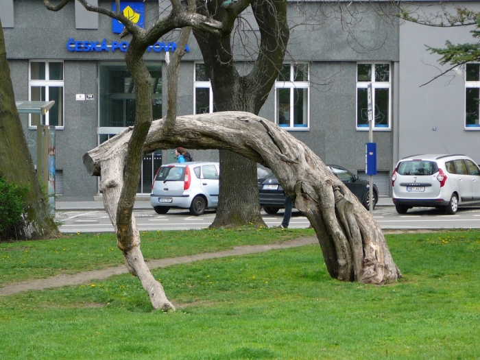 0005_9.jpg