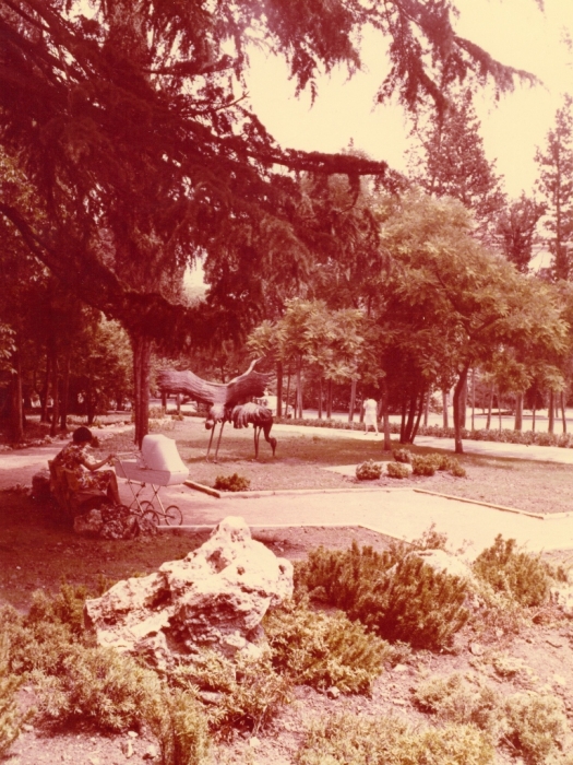 0009_24.jpg