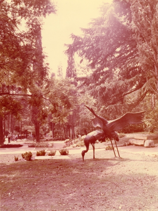 0010_25.jpg
