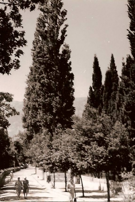 0013_16.jpg