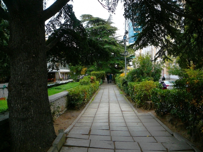 0017_12.jpg