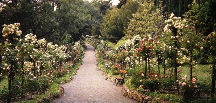 001_27.jpg