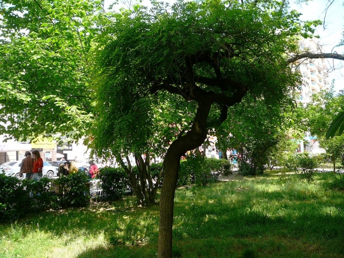 0020_13.jpg