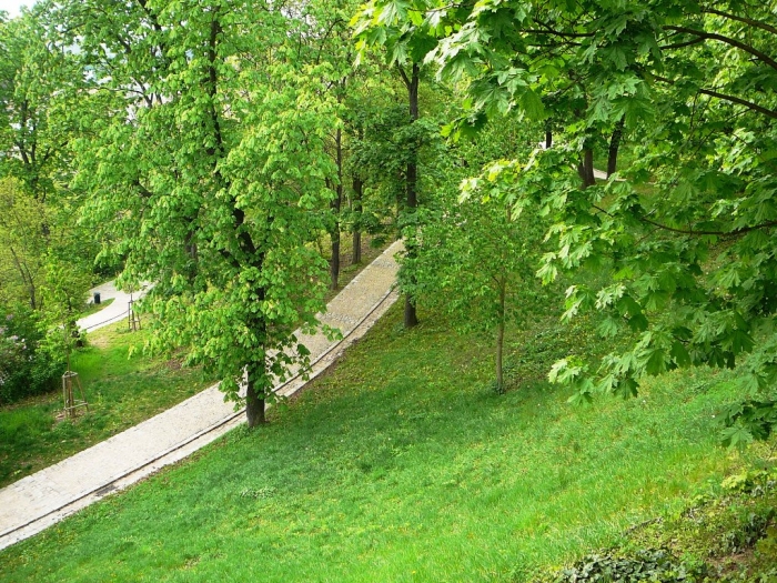 0020_6.jpg