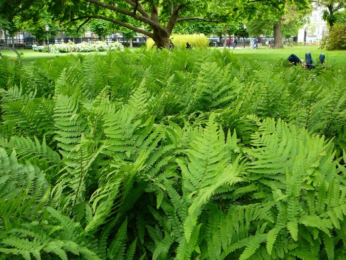 0021_8.jpg
