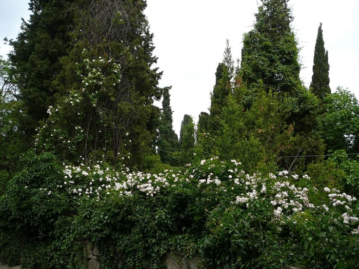 002_49.jpg