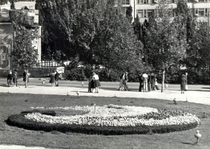 0031_1.jpg
