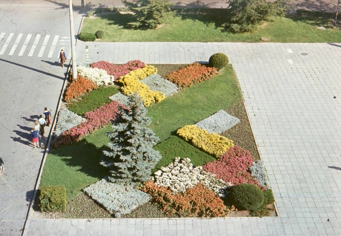 0036_1.jpg