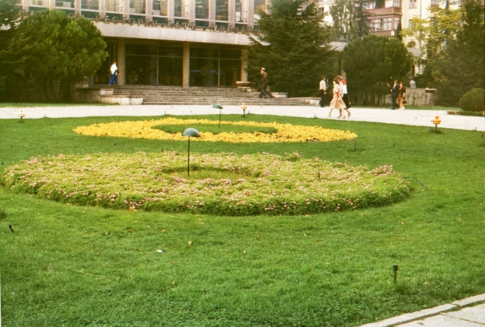 0037_1.jpg