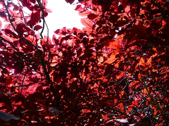 003_50.jpg