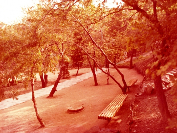 003_59.jpg
