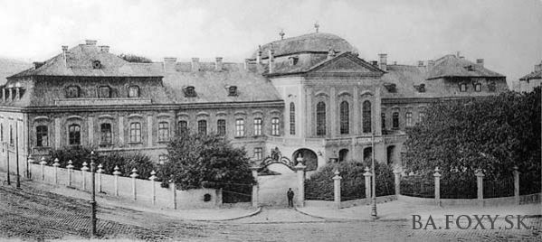 005_1904.jpg