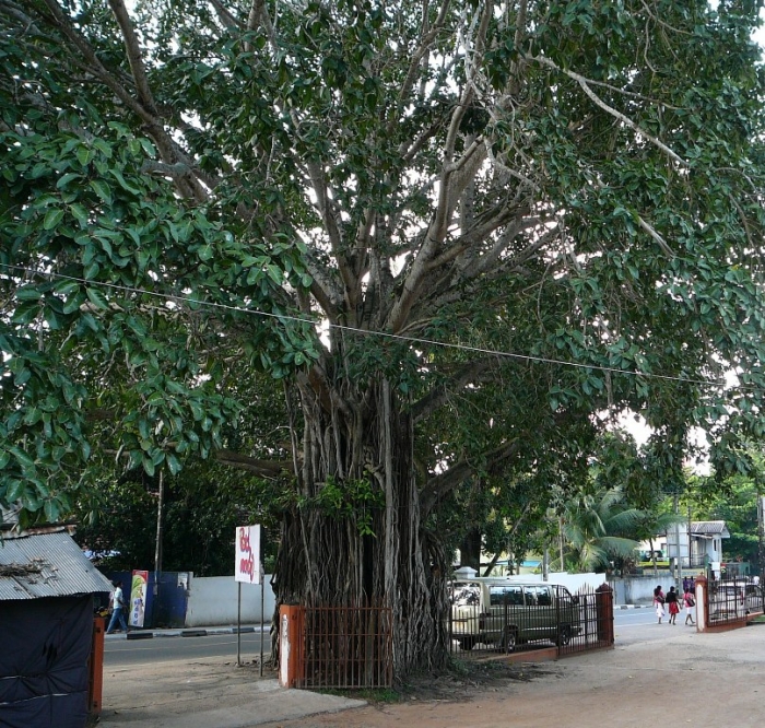 008_4.jpg