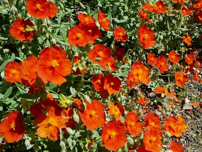 008_42.jpg