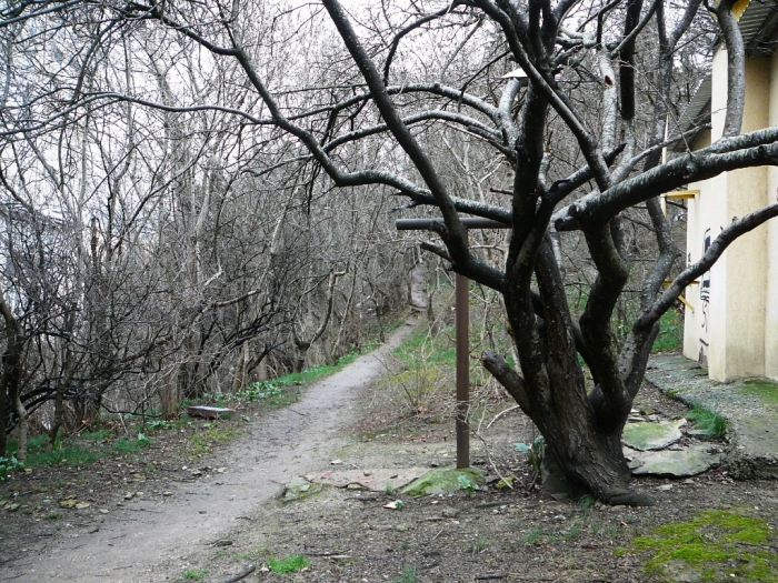 008_46.jpg