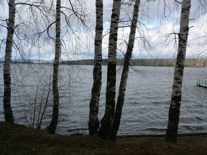 009_43.jpg