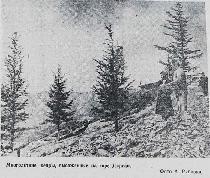 017_1958.04._8_1.jpg