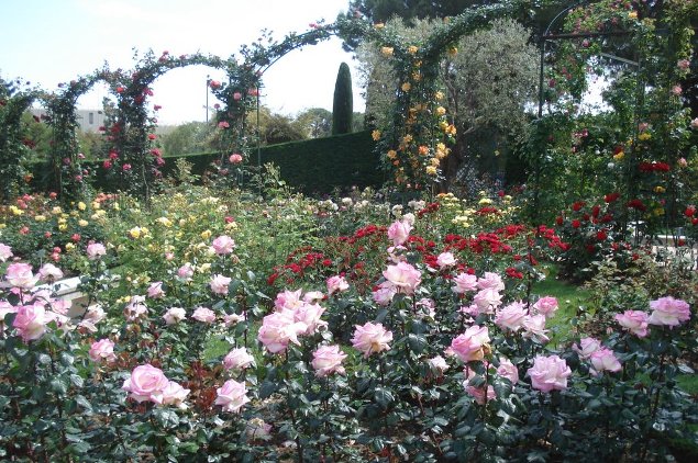 018_Rose_Garden.JPG