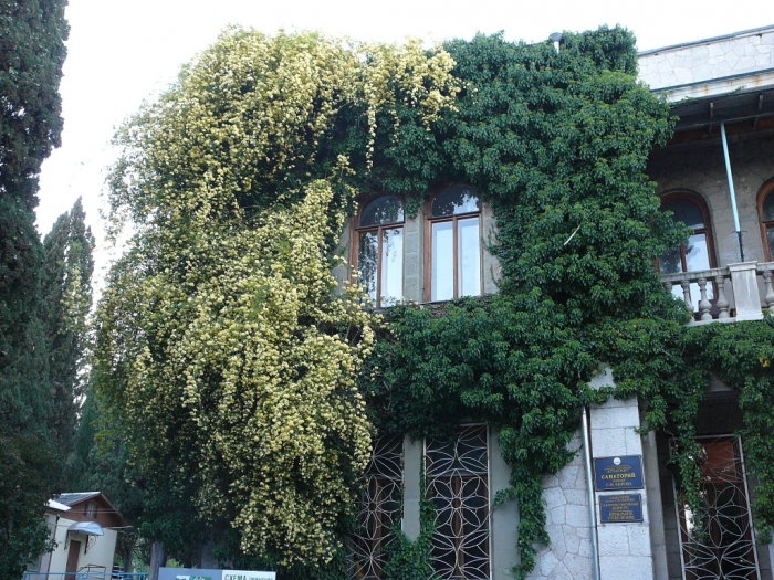 027_san_kirova.jpg