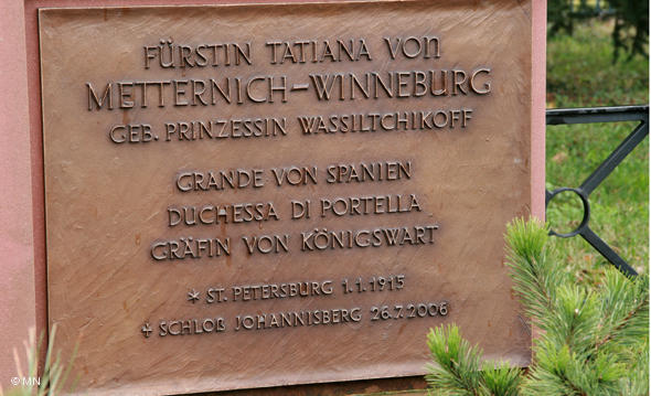 04147679_100.jpg