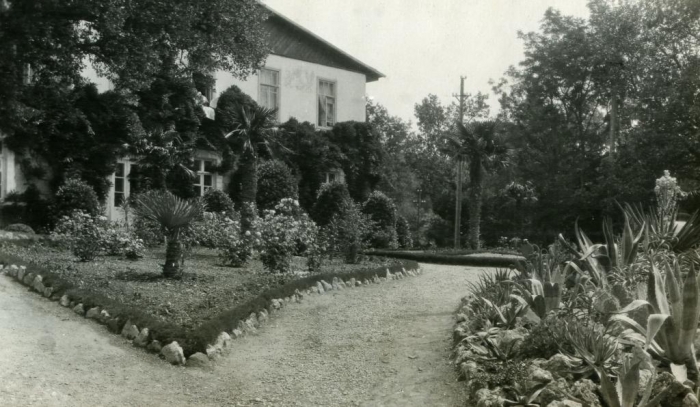 044_roses_of_nikitsky_garden_1930s.jpg