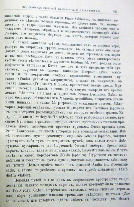 112.jpg