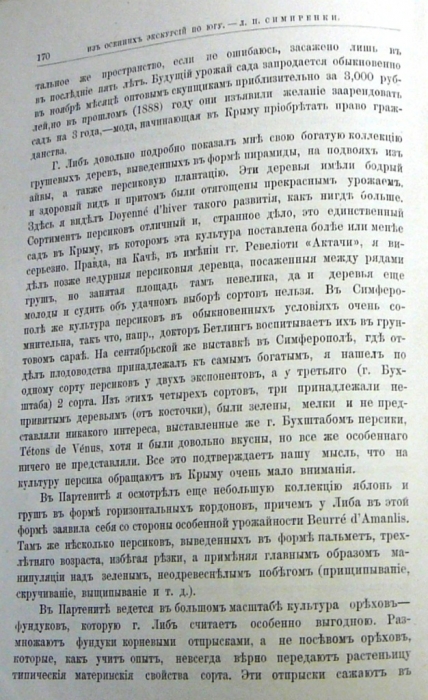 115.jpg