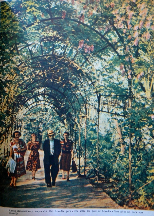 1956.jpg