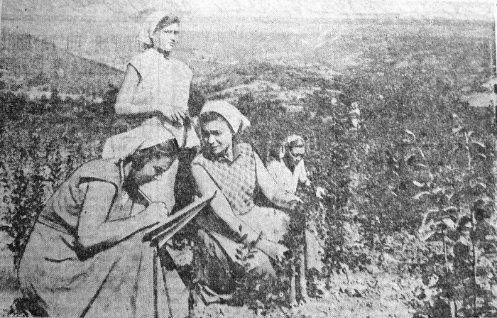1958_0.jpg