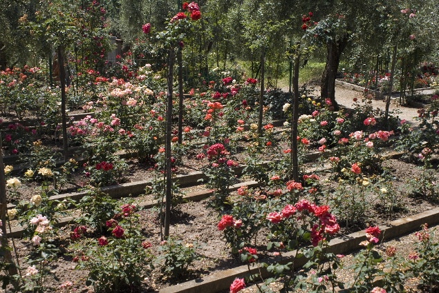 Copy_DSC08308.jpg