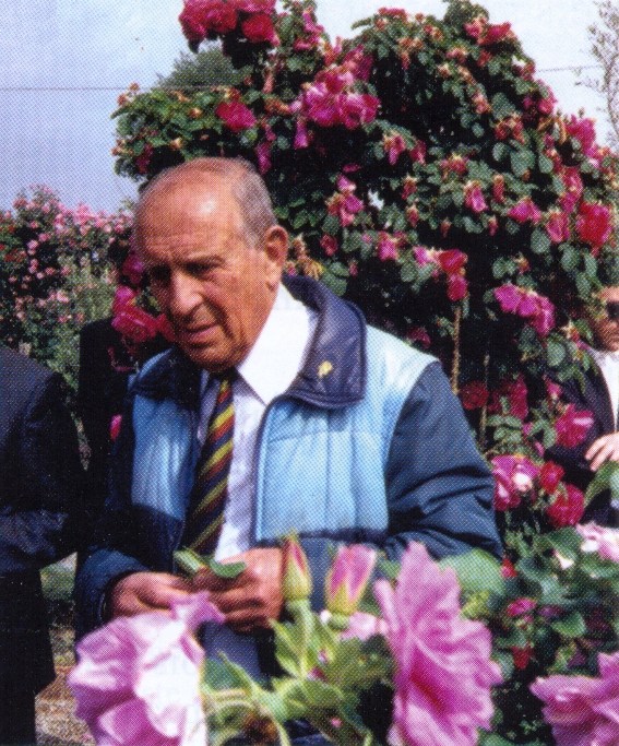 Fineschi_0029.jpg
