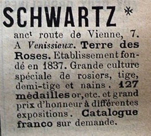Kopiya_1901.jpg