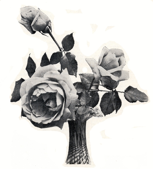 Madame_Caristie_martel_photo.jpg