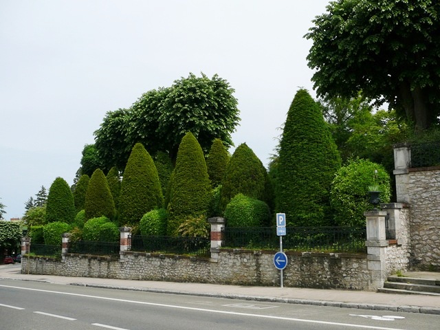 P1160854.JPG