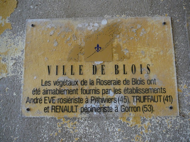 P1170035.JPG