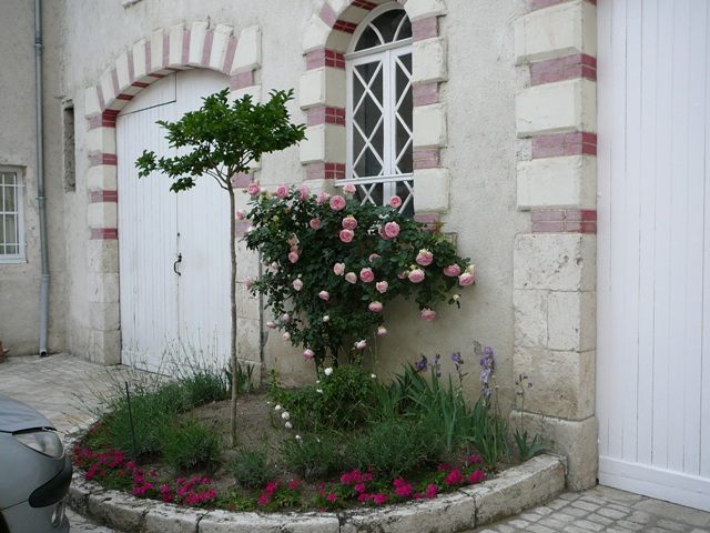 P1170062.JPG