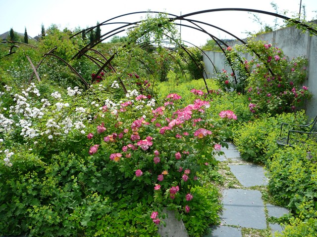 P1170168.JPG