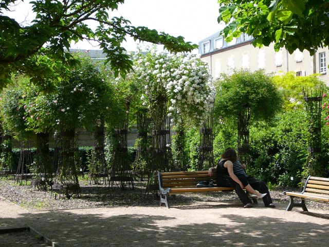 P1170225.JPG