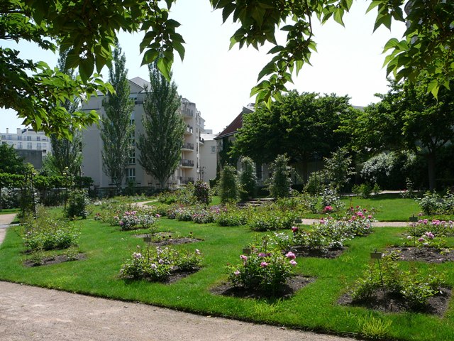 P1170226.JPG