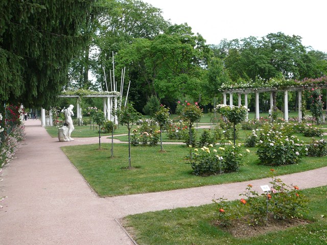 P1180460.JPG