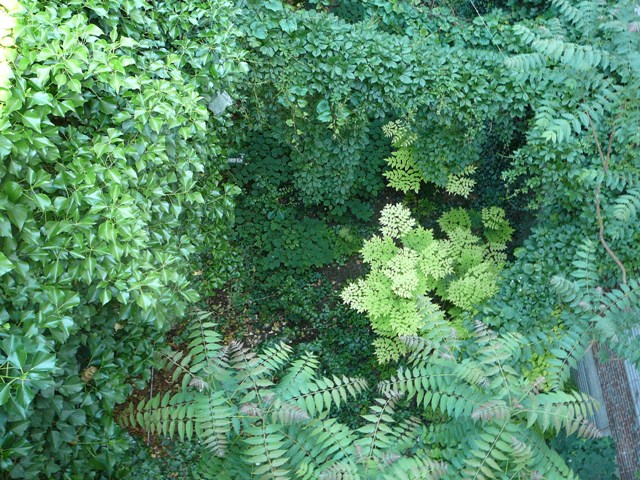 P1180595.JPG