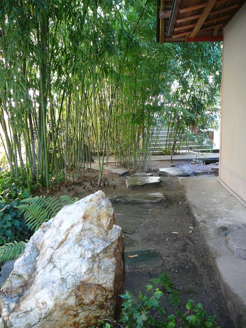 P1180651.JPG