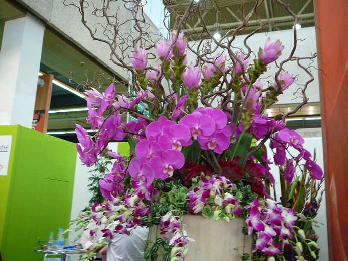 P1200478.JPG