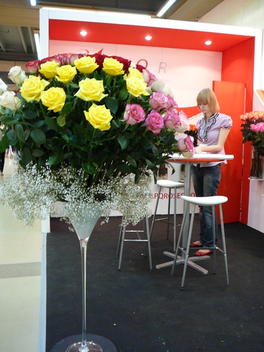 P1200555.JPG