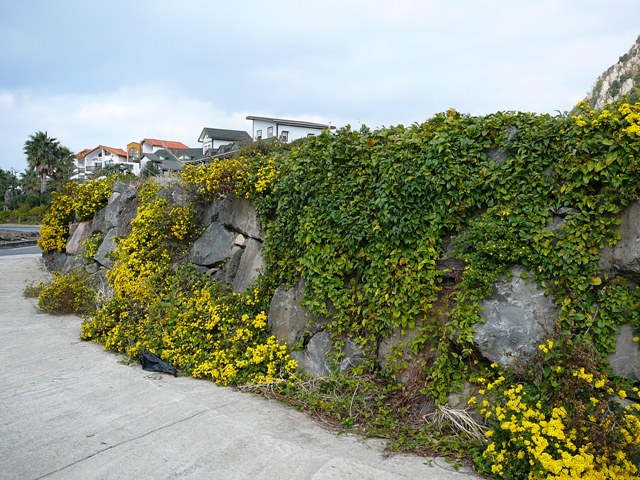 P1210120.JPG