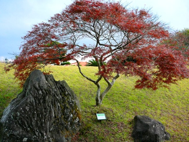 P1210229.JPG